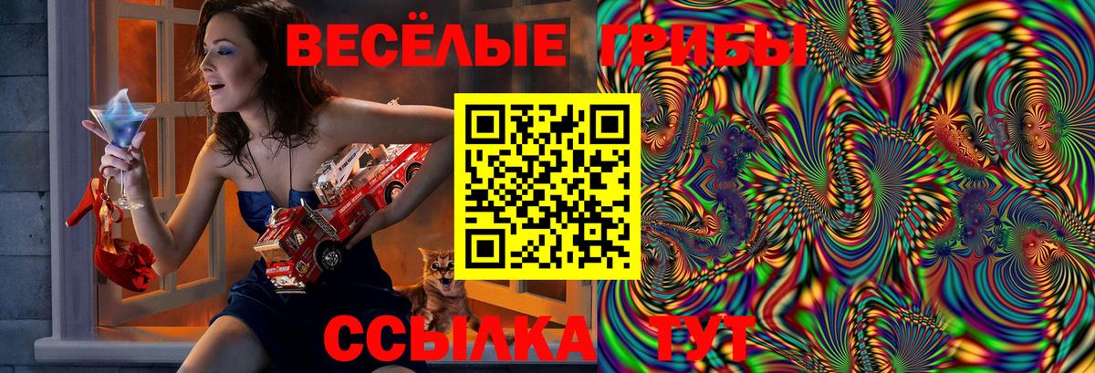 Псилоцибиновые грибы Psilocybine cubensis Ливны