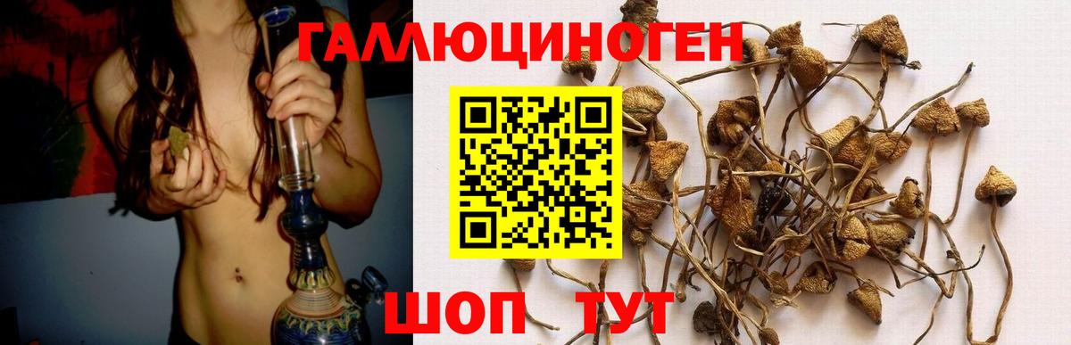 Ливны  Псилоцибиновые грибы ЛСД  Вход с VPN 